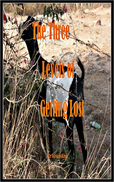 The Three Levels of Getting Lost