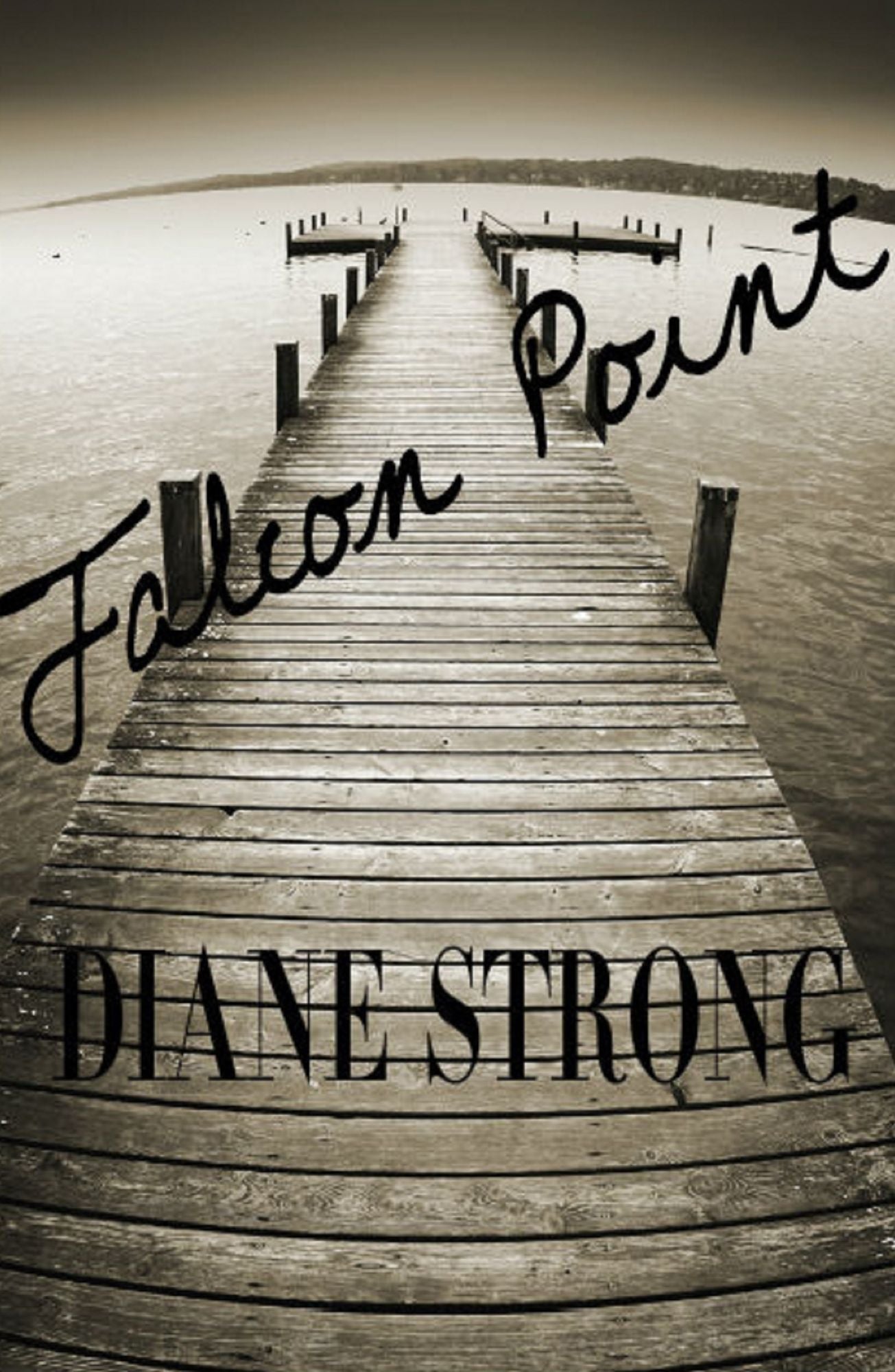 Falcon Point (The Running Suspense Collection)