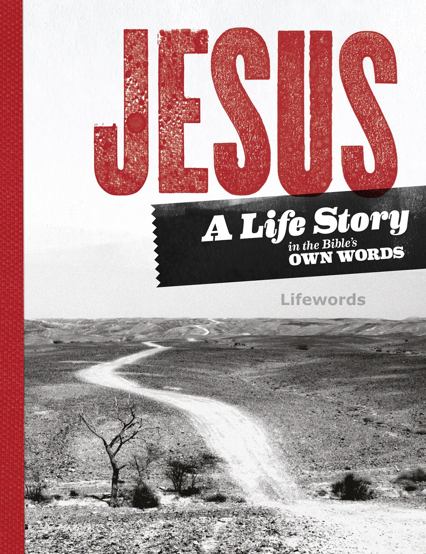 Jesus. A Life Story