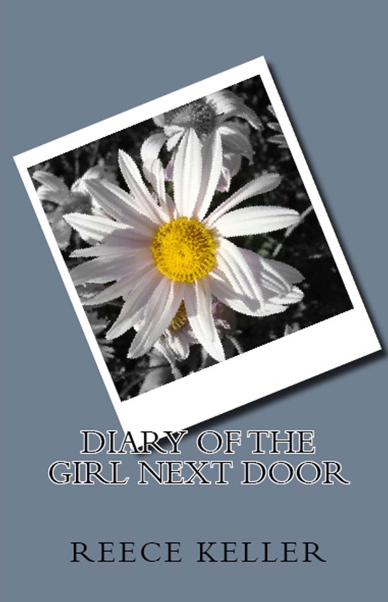Diary of the Girl Next Door