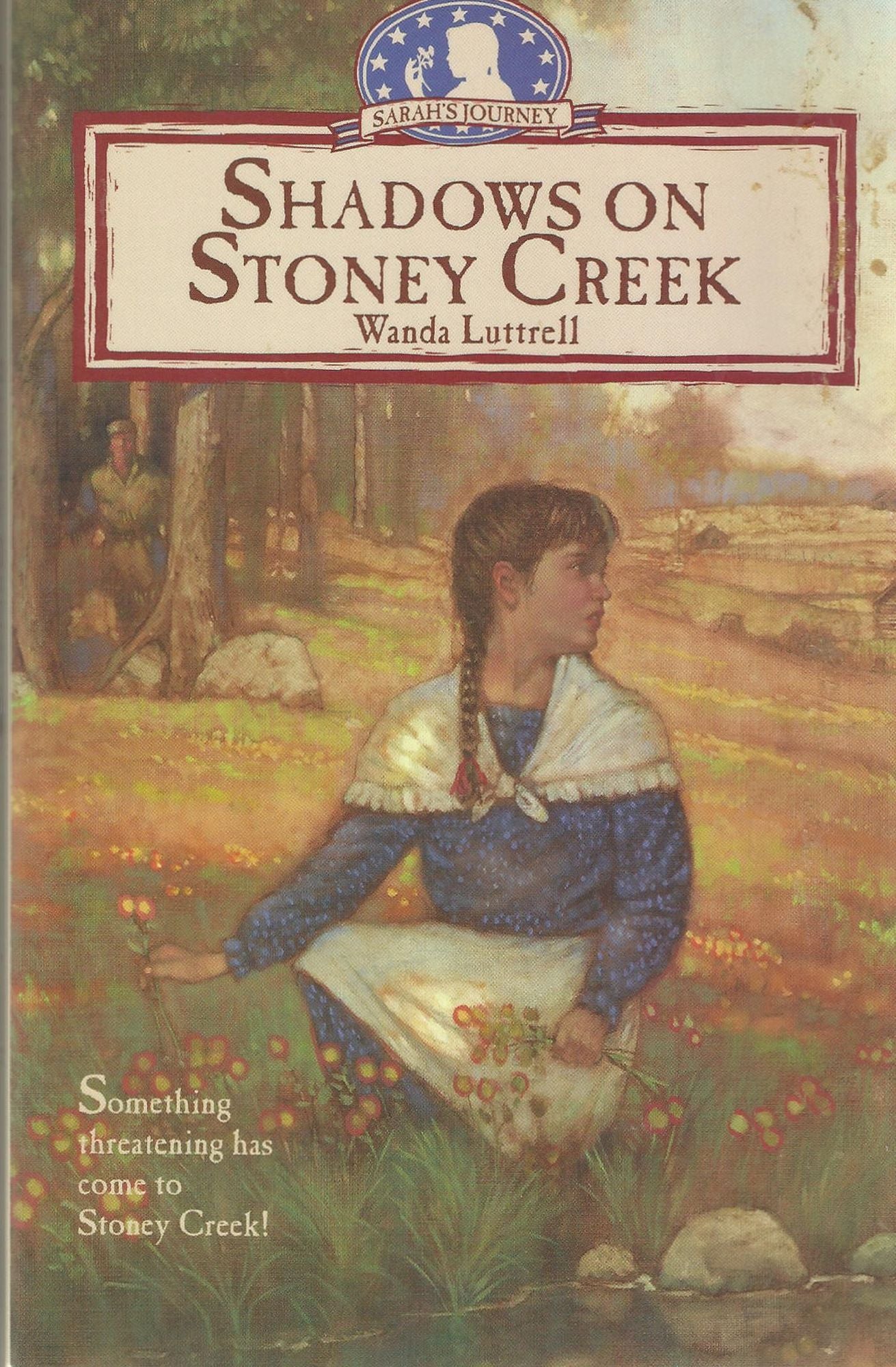 Shadows on Stoney Creek
