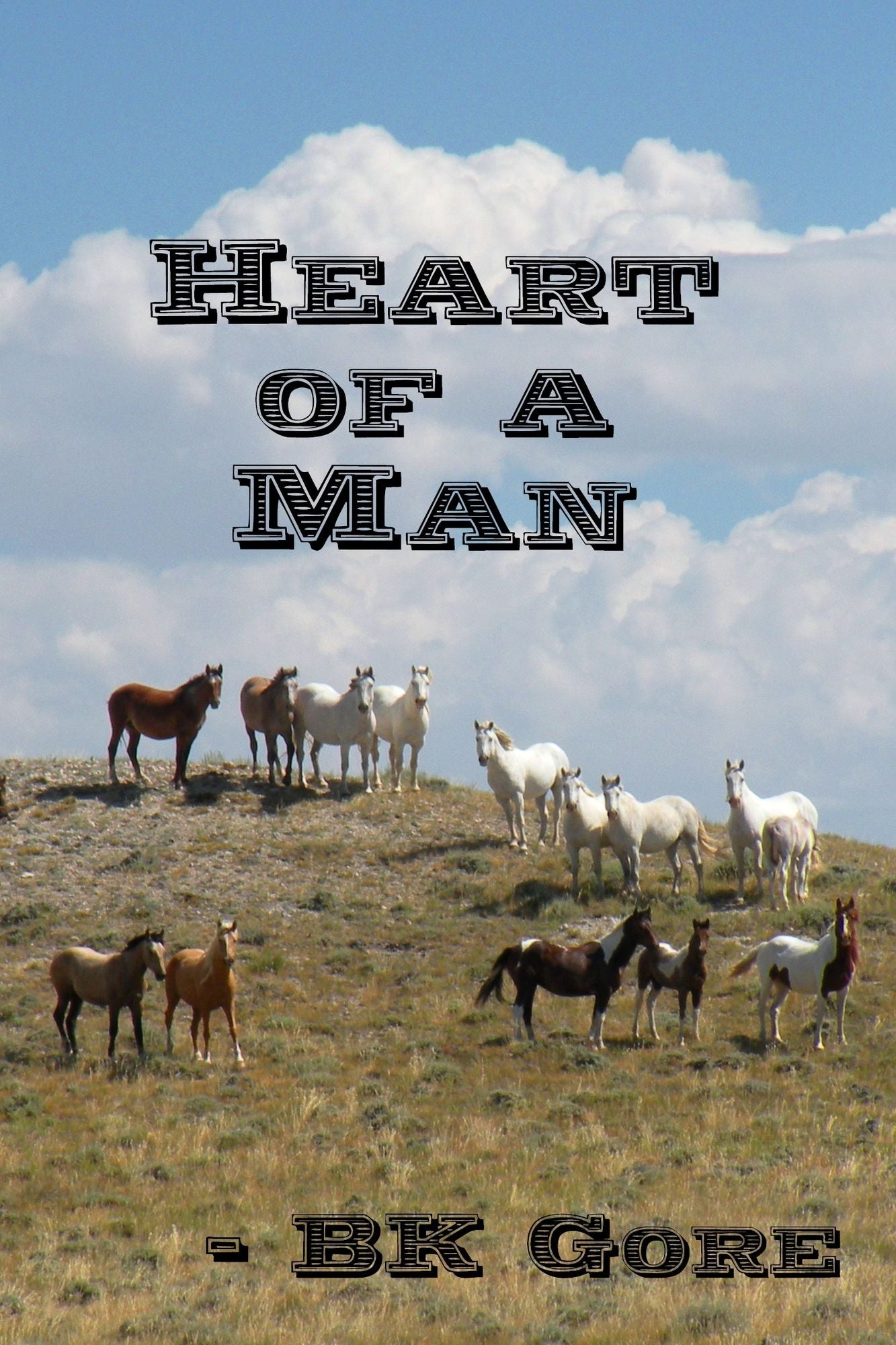 Heart of a Man
