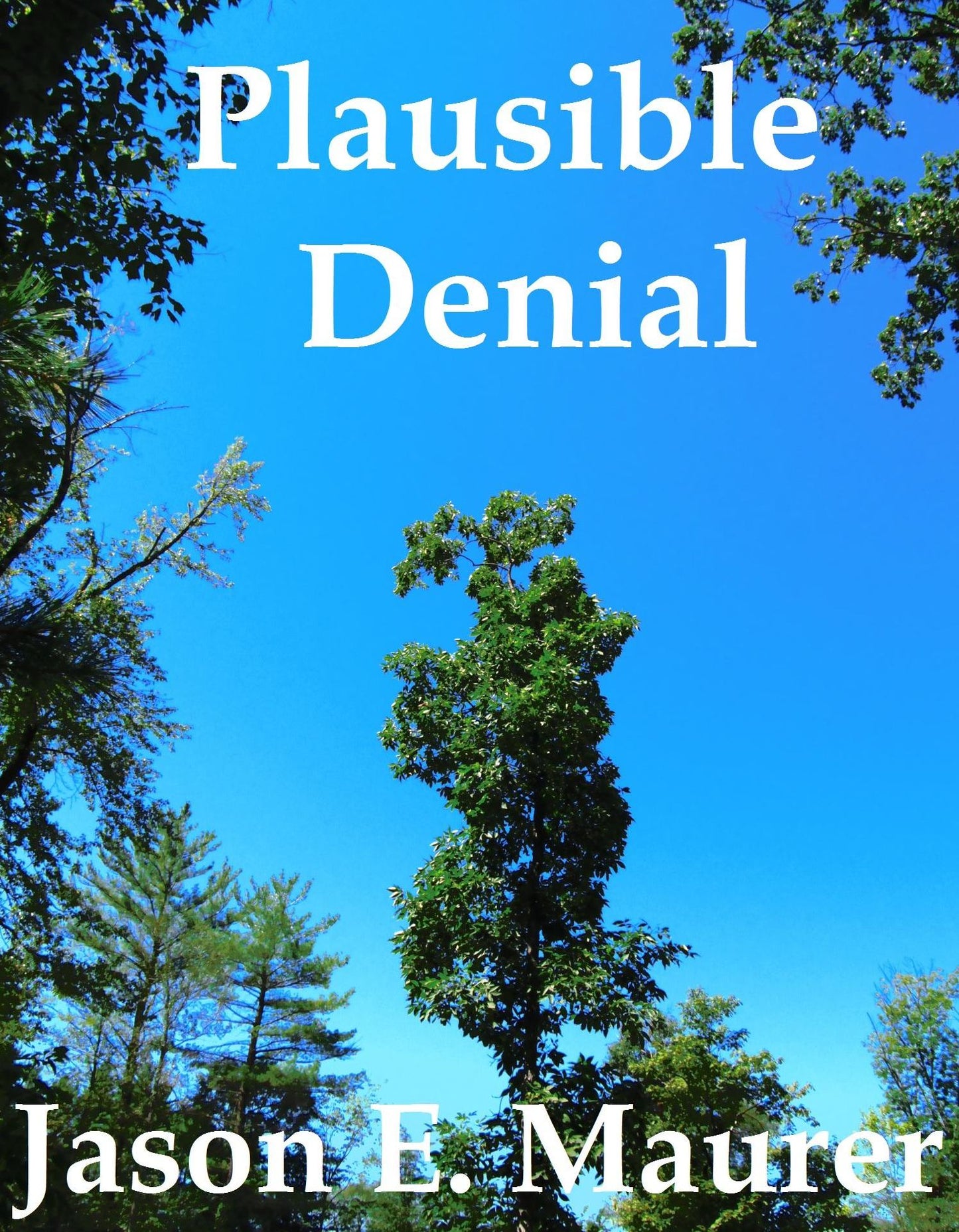 Plausible Denial