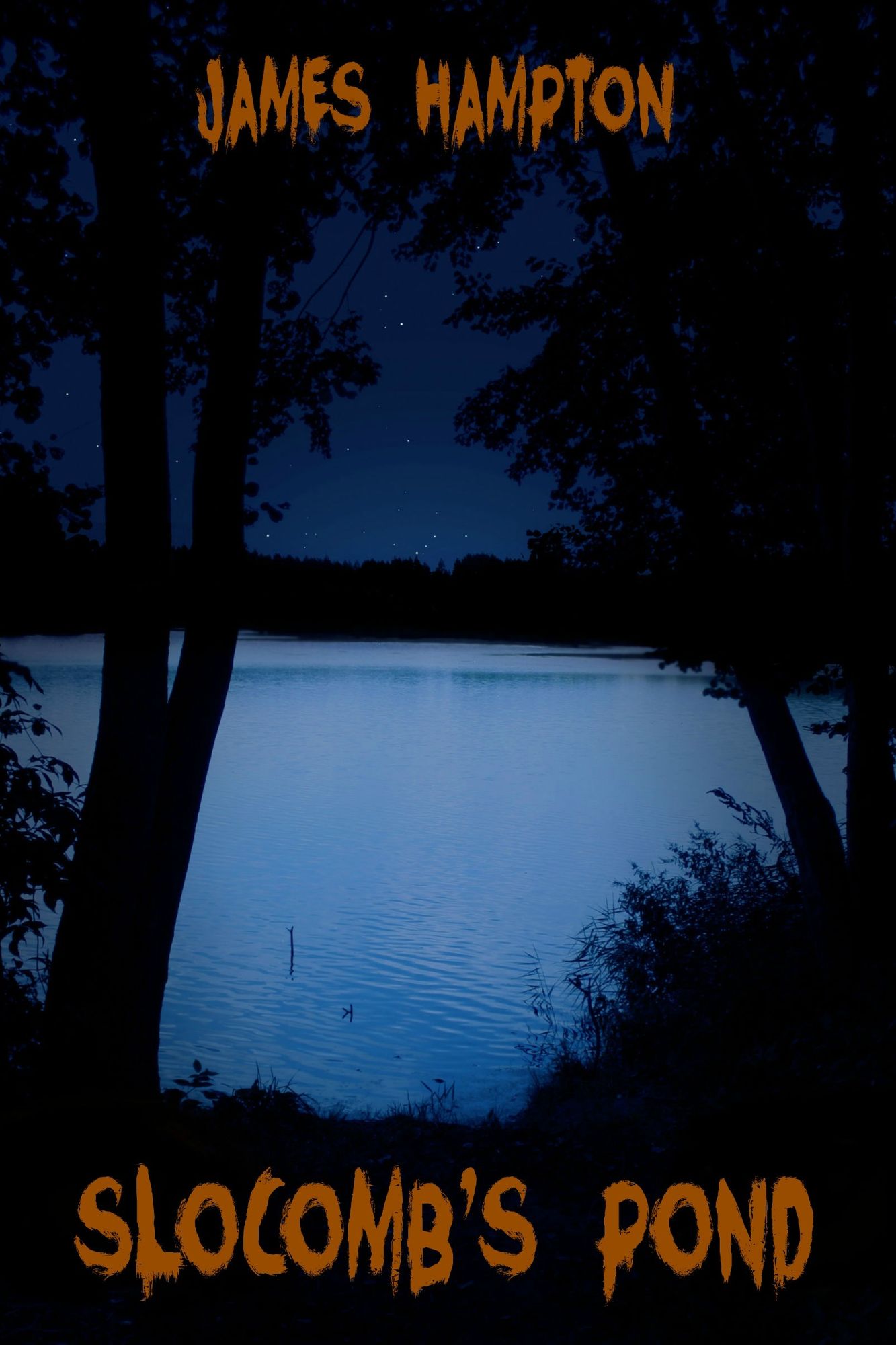 Slocomb's Pond