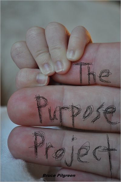 The Purpose Project