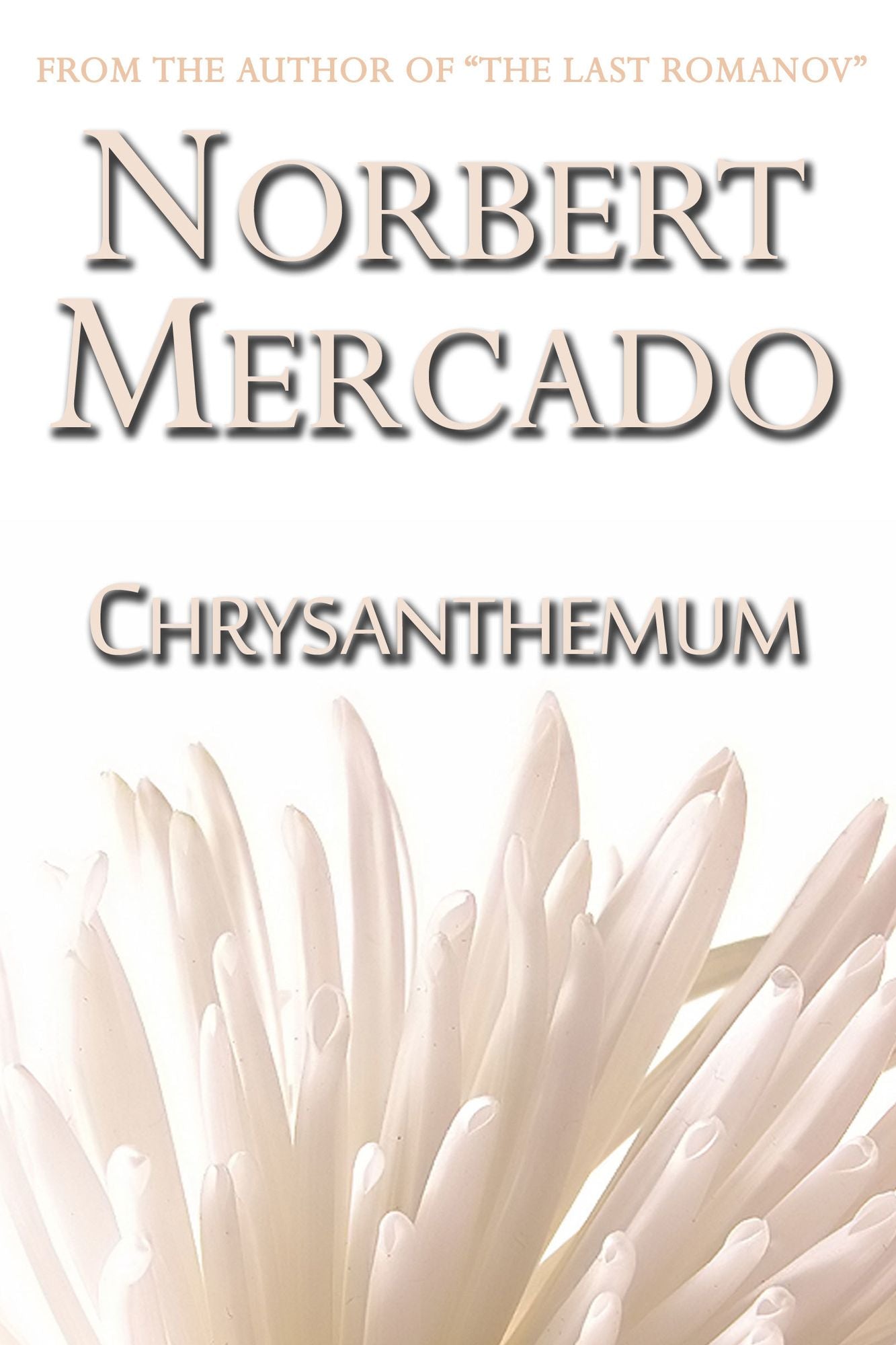 Chrysanthemum