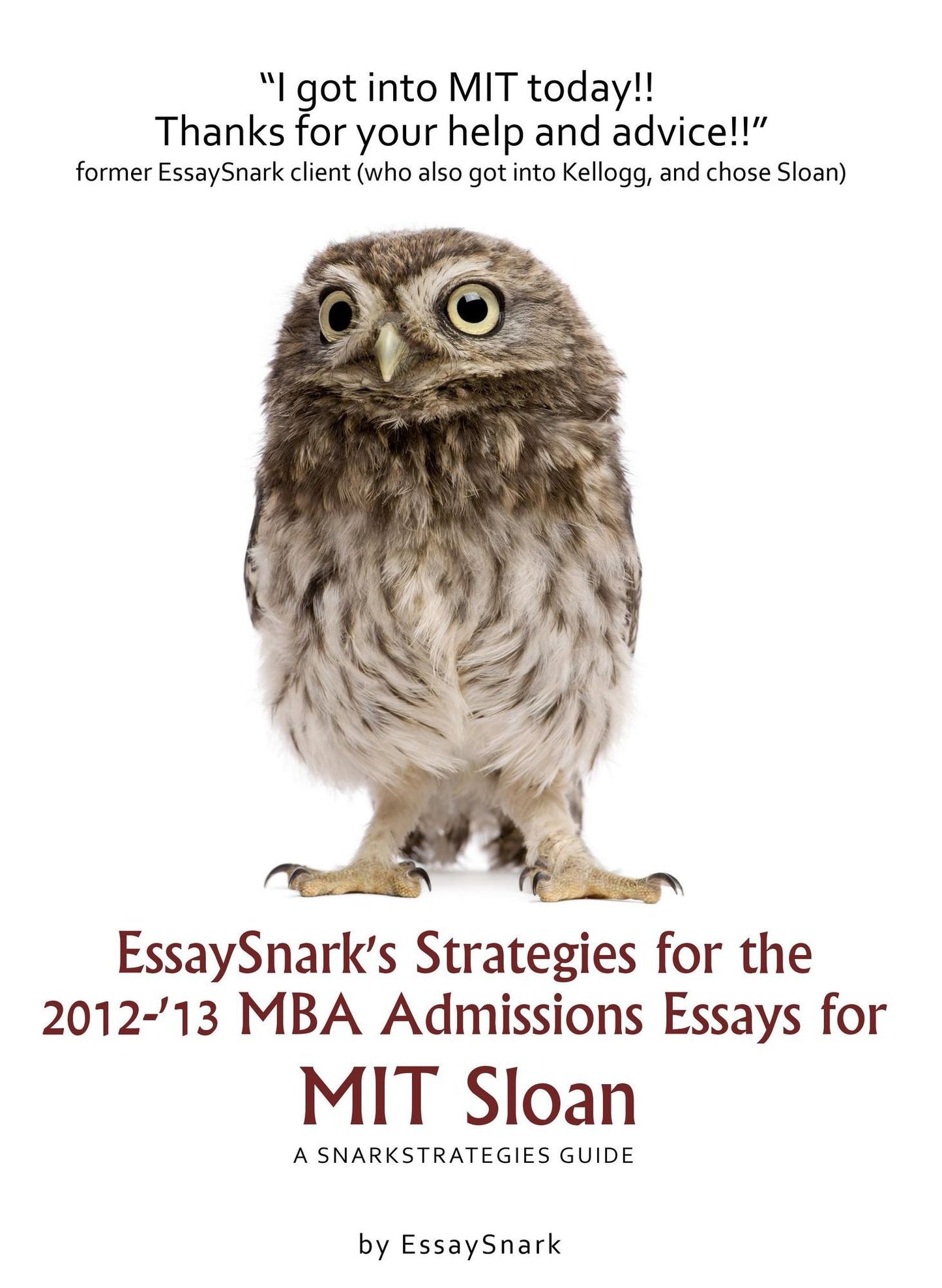 EssaySnark's Strategies for the 2012-'13 MBA Admissions Essays for MIT Sloan