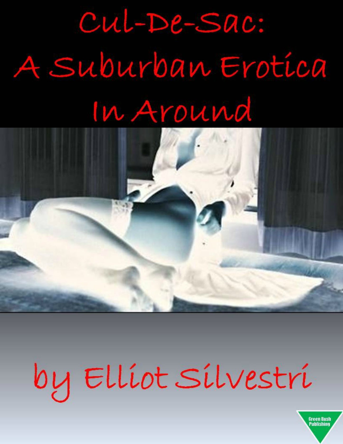 Cul-De-Sac: A Suburban Erotica In Around