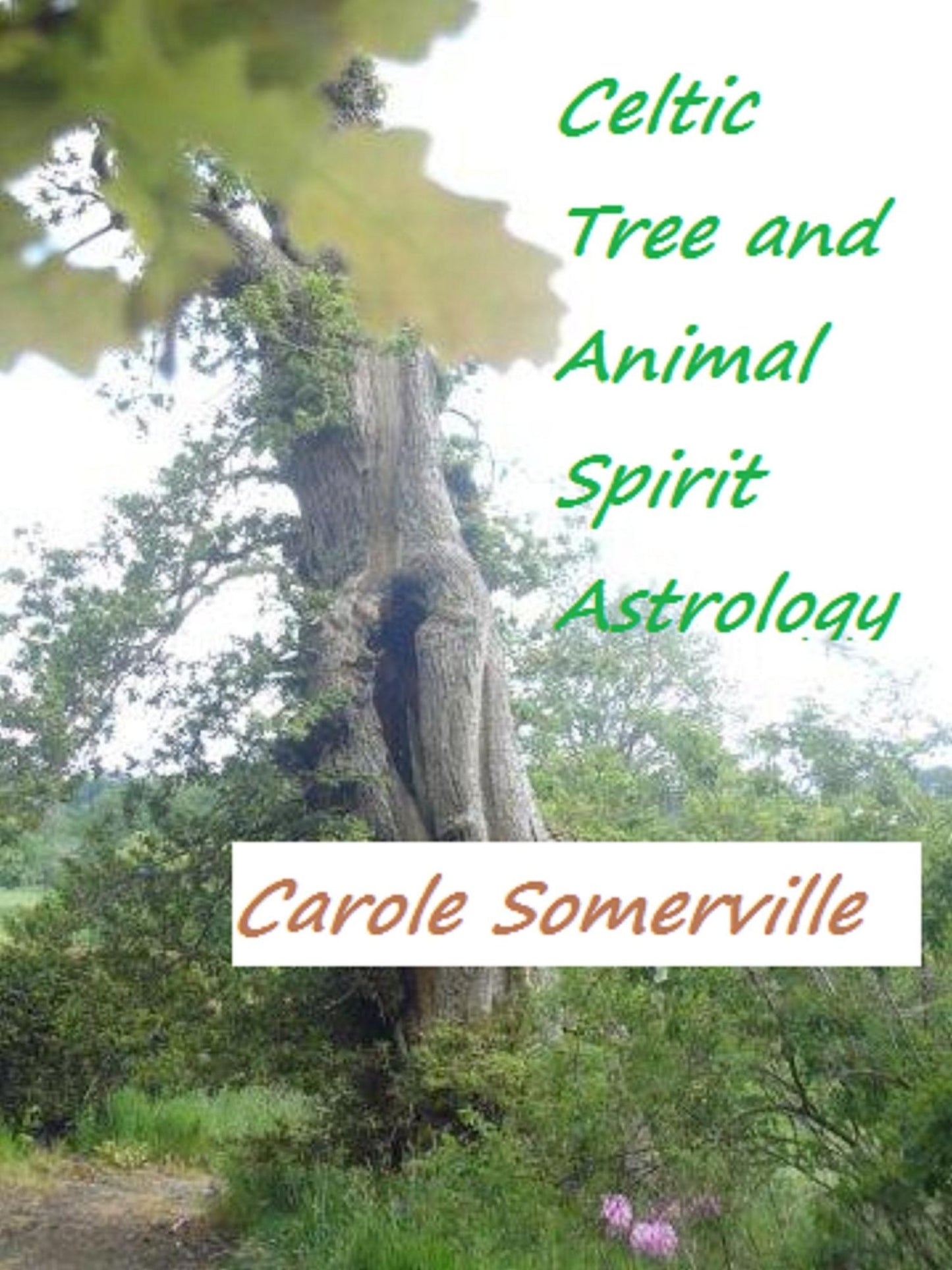 Celtic Tree and Animal Spirit Astrology