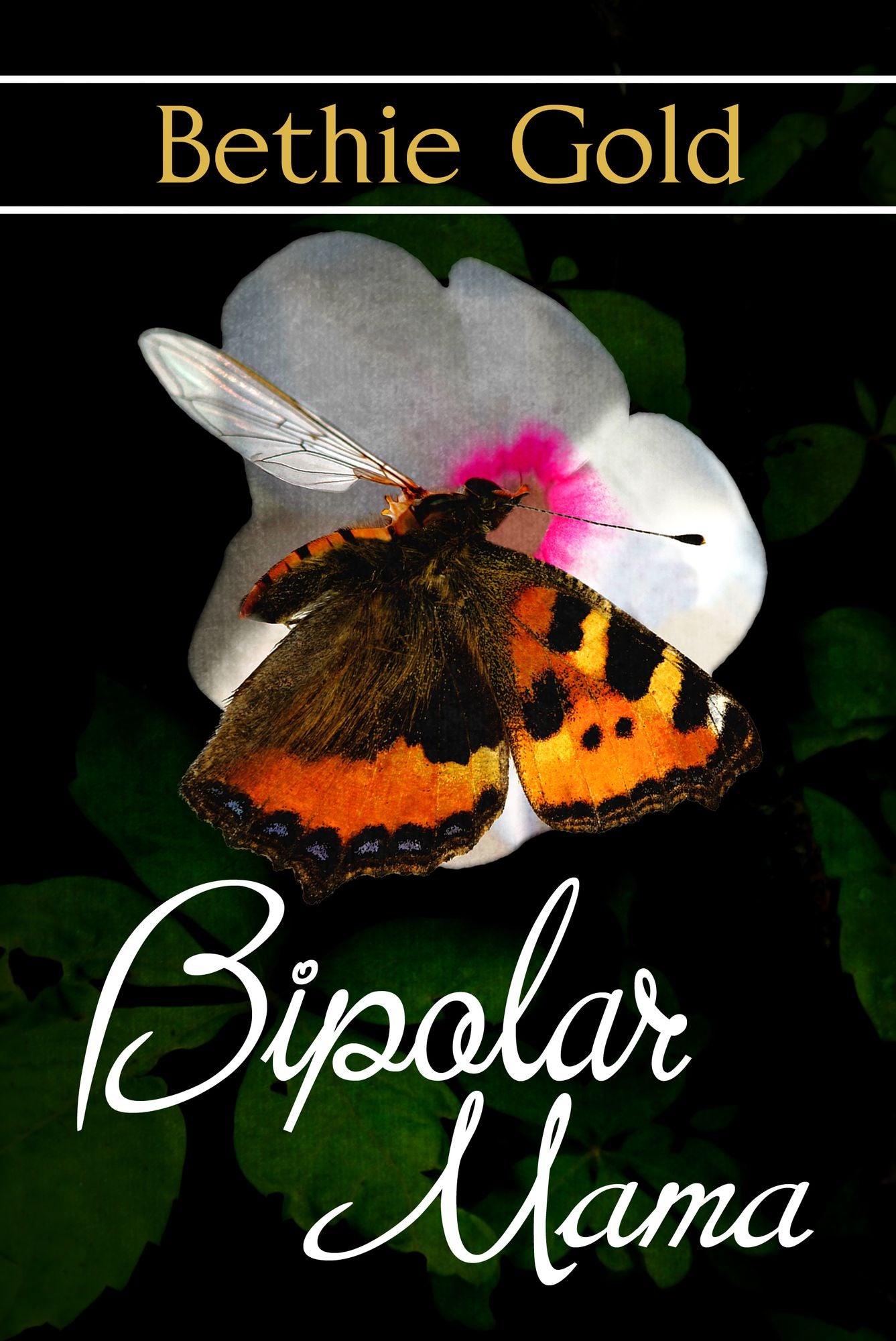 Bipolar Mama