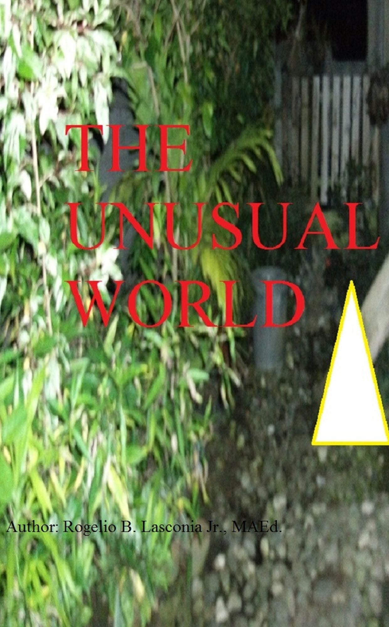 The Unusual World