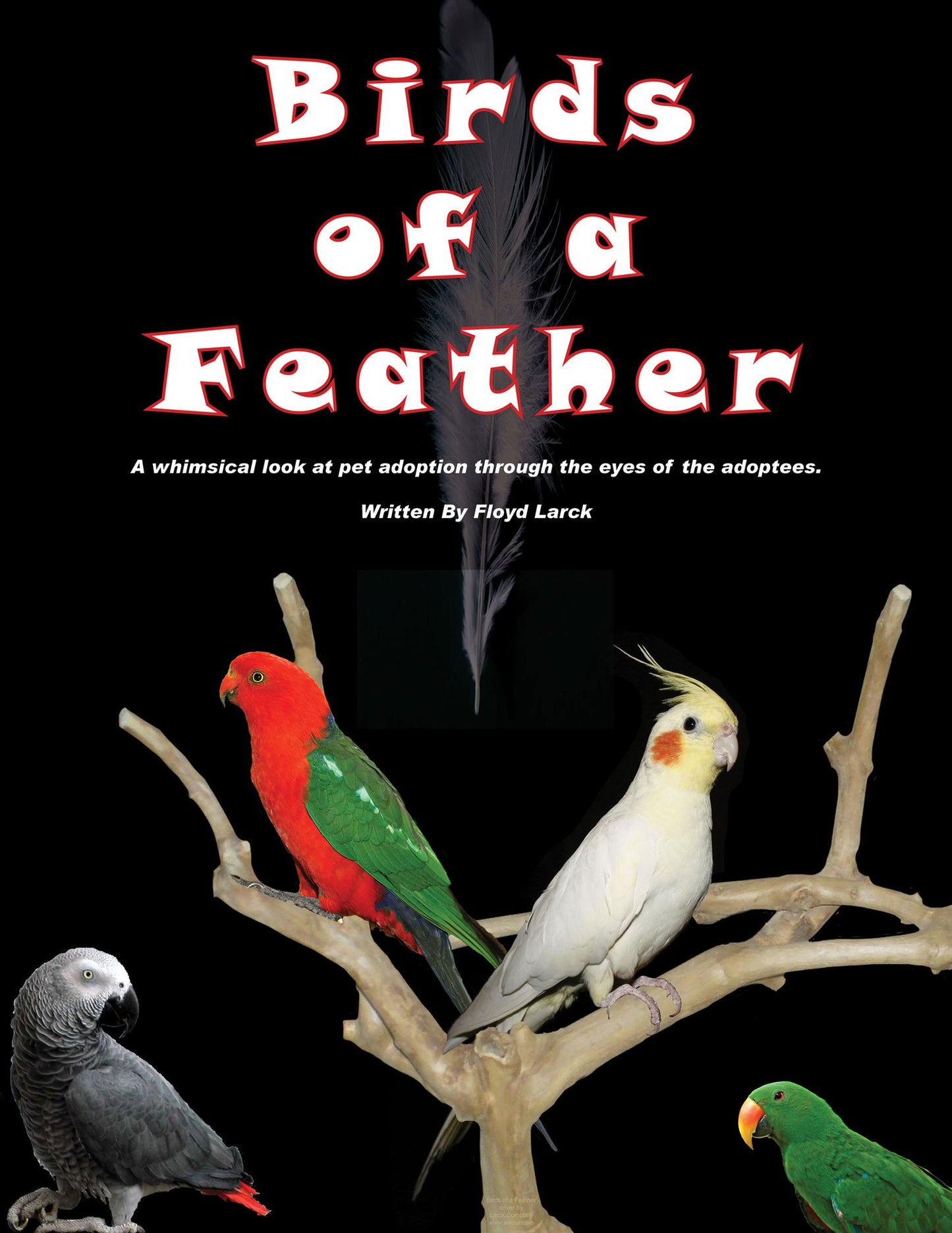 Birds of a Feather