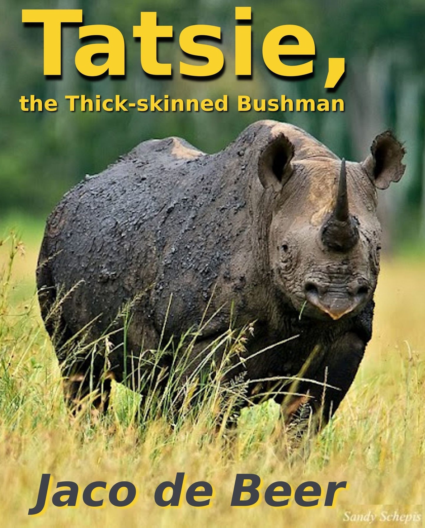 Tatsie, the Thick-skinned Bushman