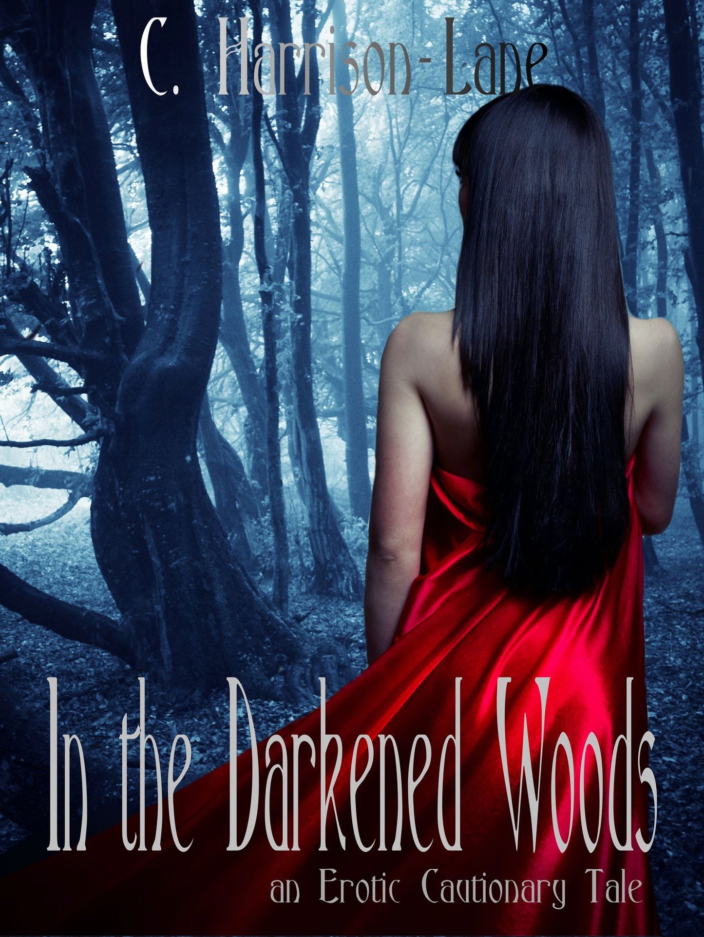 In the Darkened Woods: an Erotic Cautionary Tale