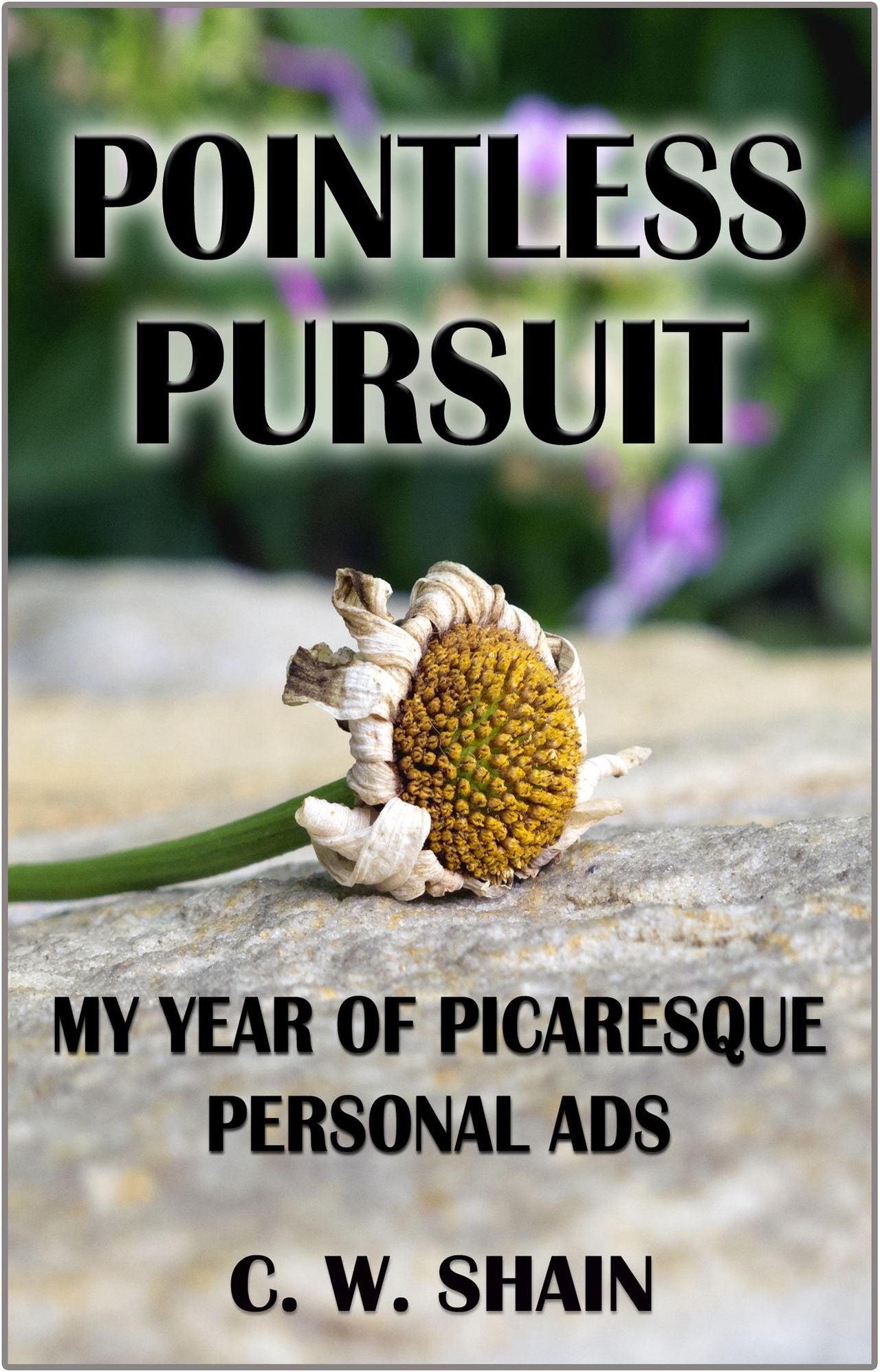 Pointless Pursuit: My Year of Picaresque Personal Ads