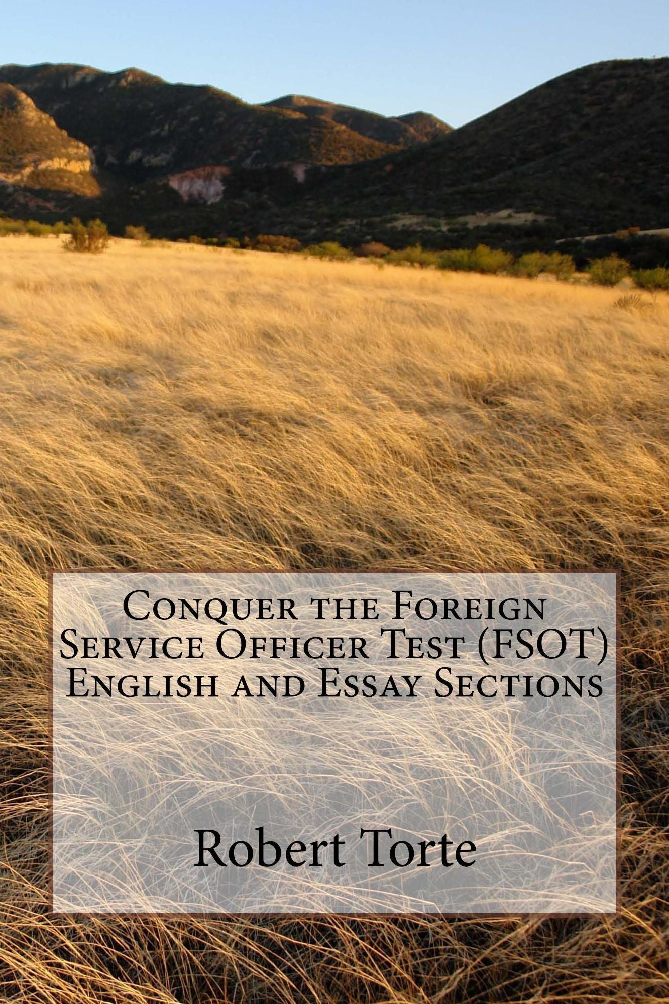 Conquer the Foreign Service Officer Test (FSOT) English and Essay Sections
