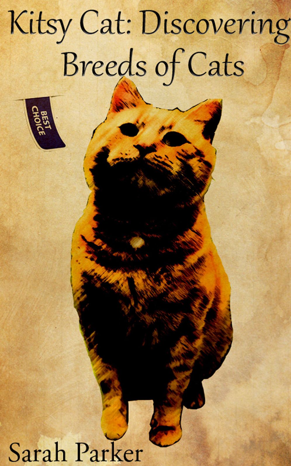 Kitsy Cat: Discovering Breeds of Cats
