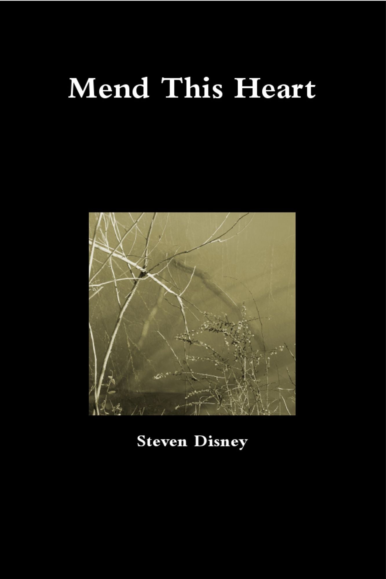 Mend this Heart: The First Year