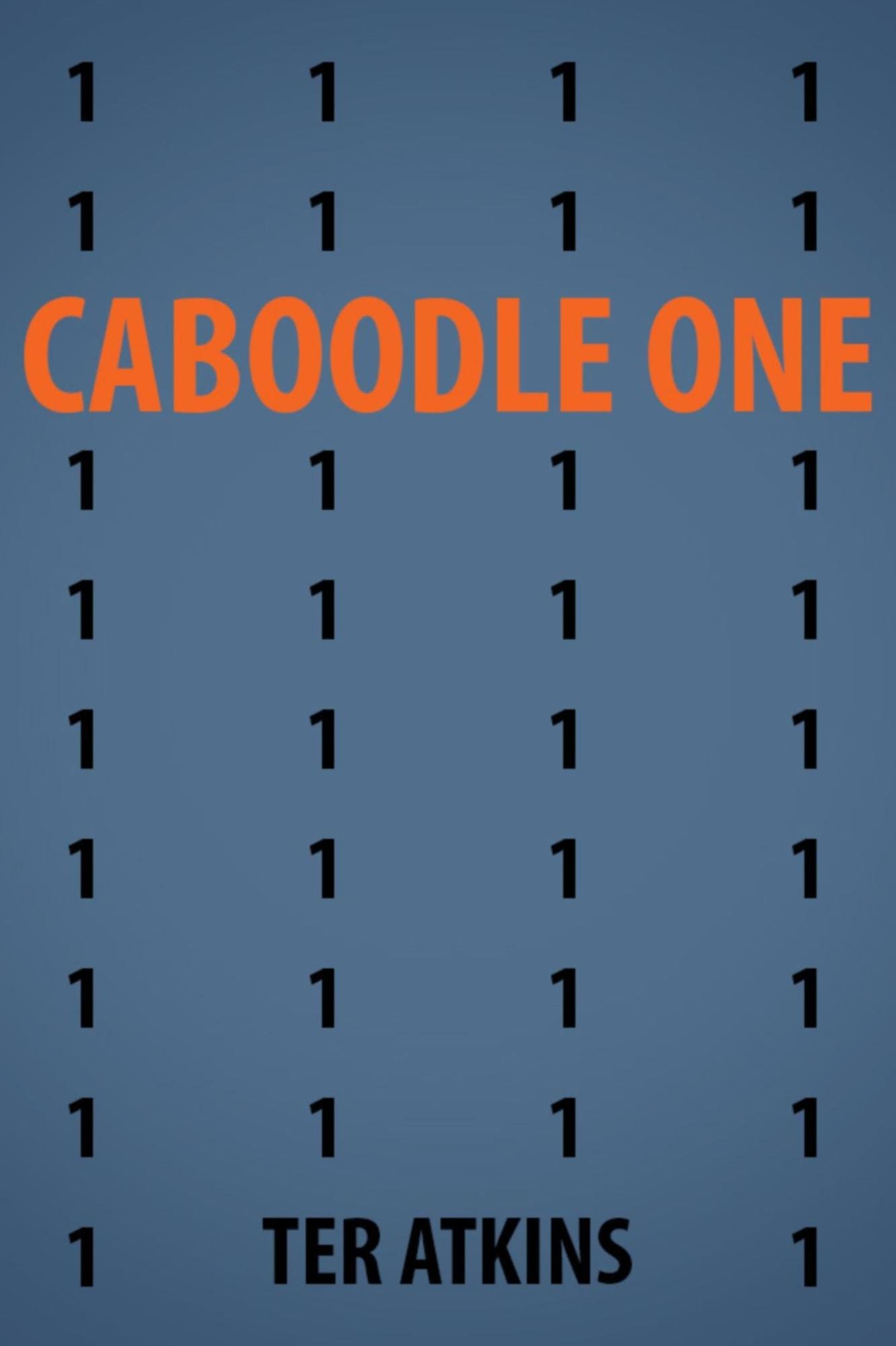 Caboodle One