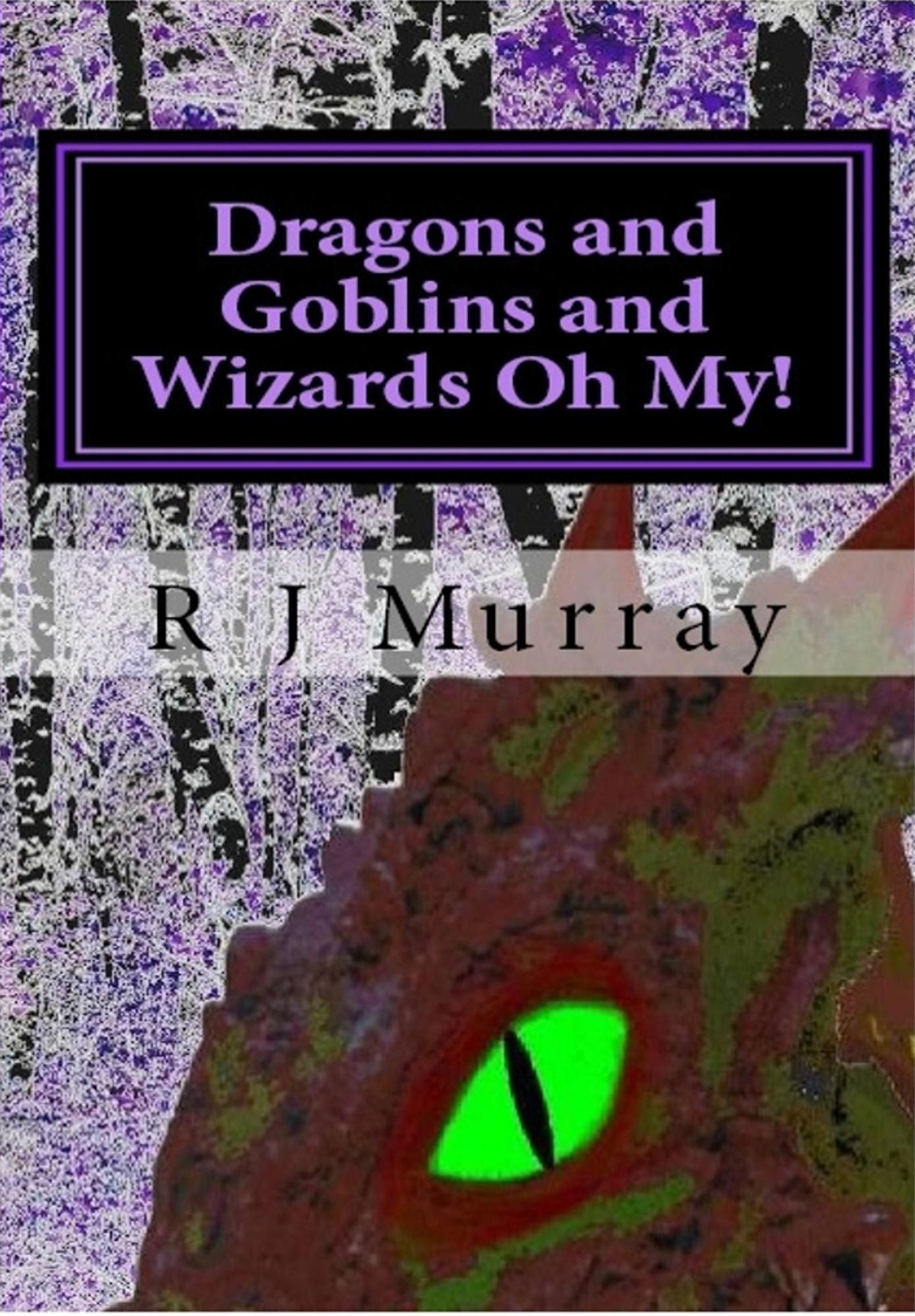 Dragons & Goblins & Wizards, Oh My!: Tales of the Triad, Book Two