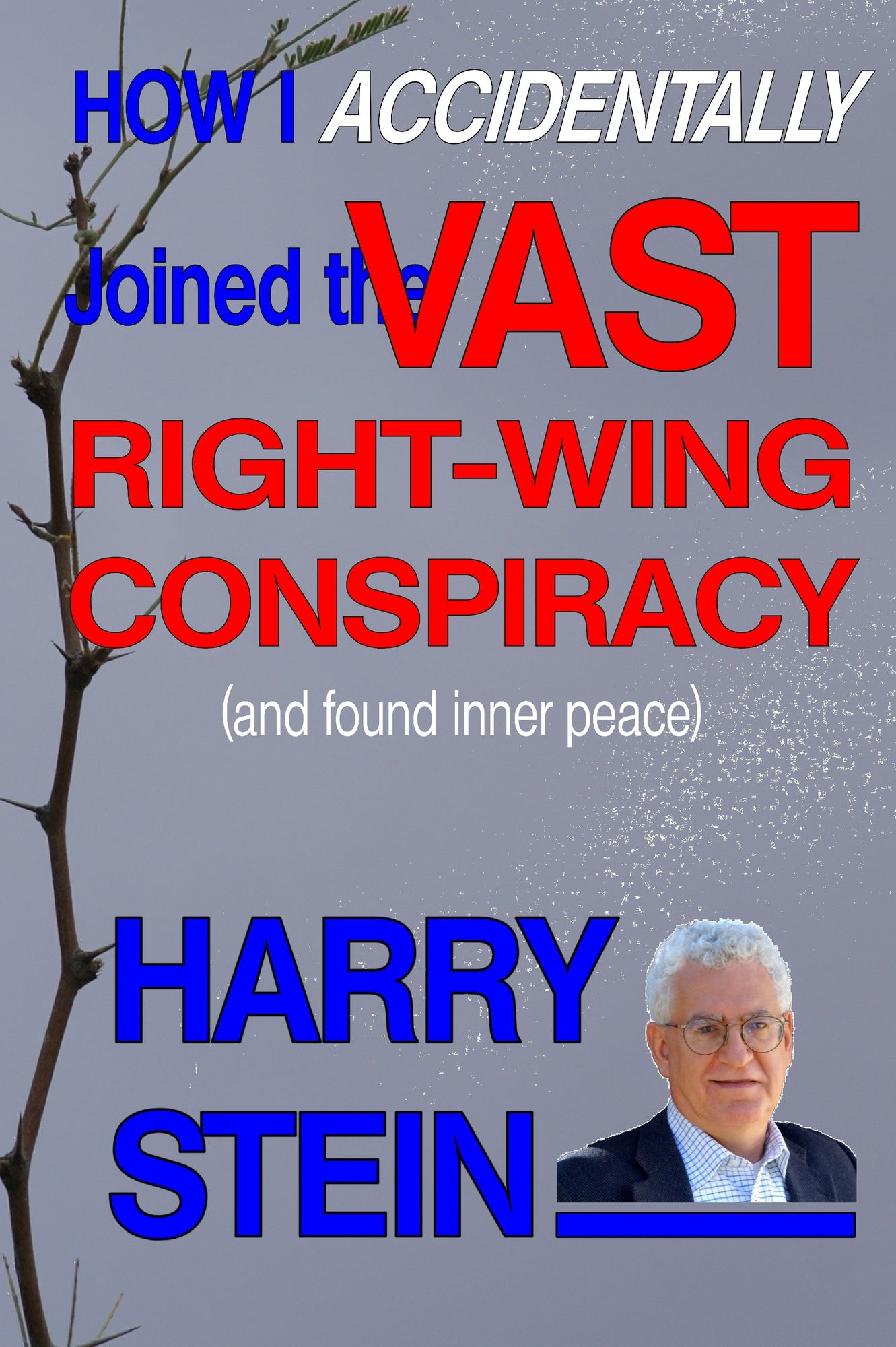 How I Accidentally Joined the Vast Right-Wing Conspiracy (and Found Inner Peace)