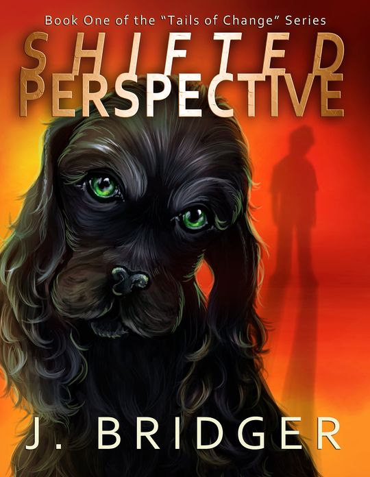 Shifted Perspective