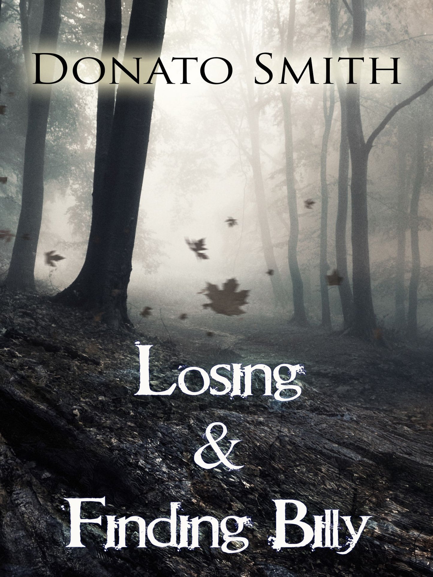 Losing & Finding Billy