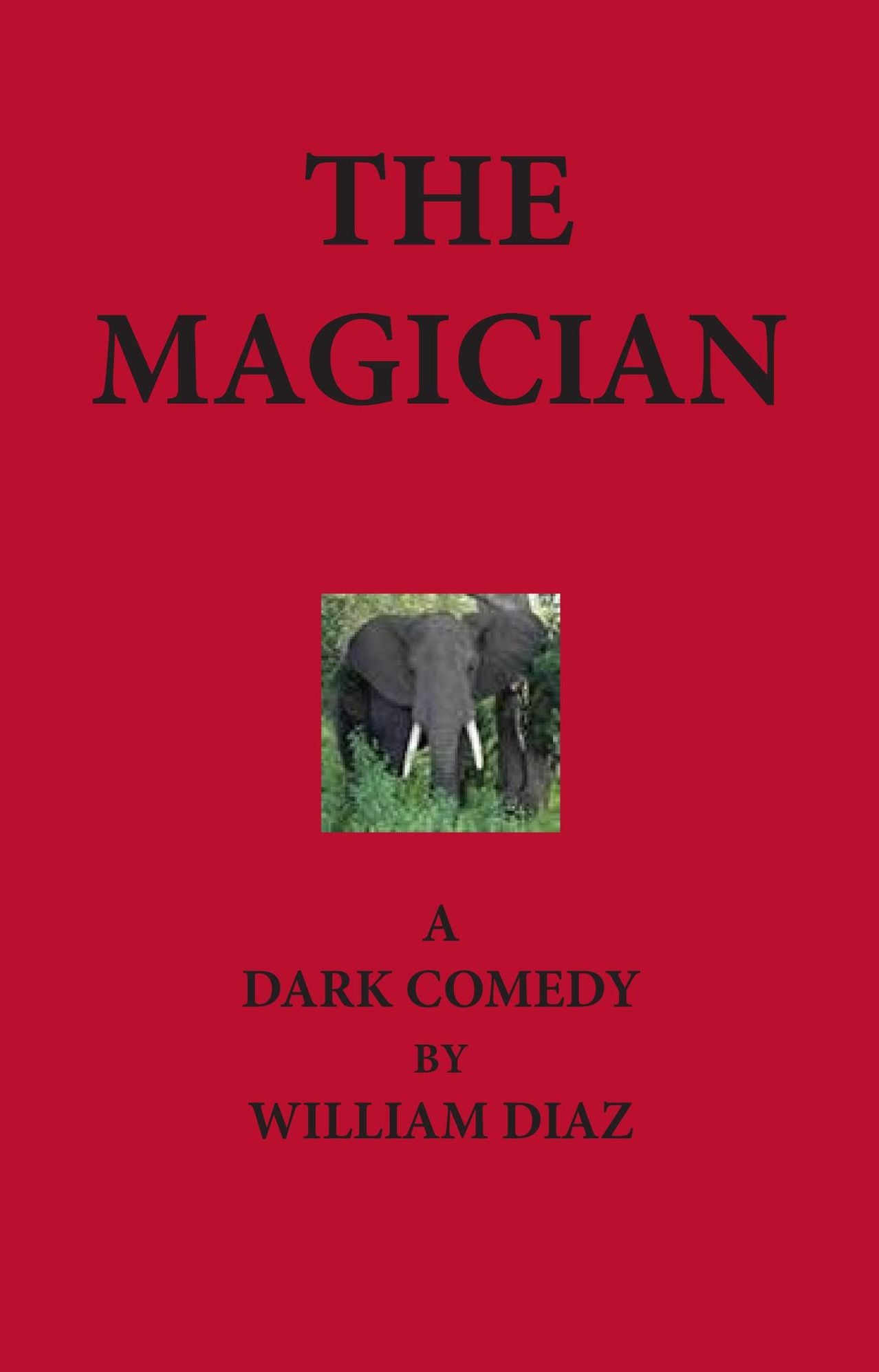 The Magician