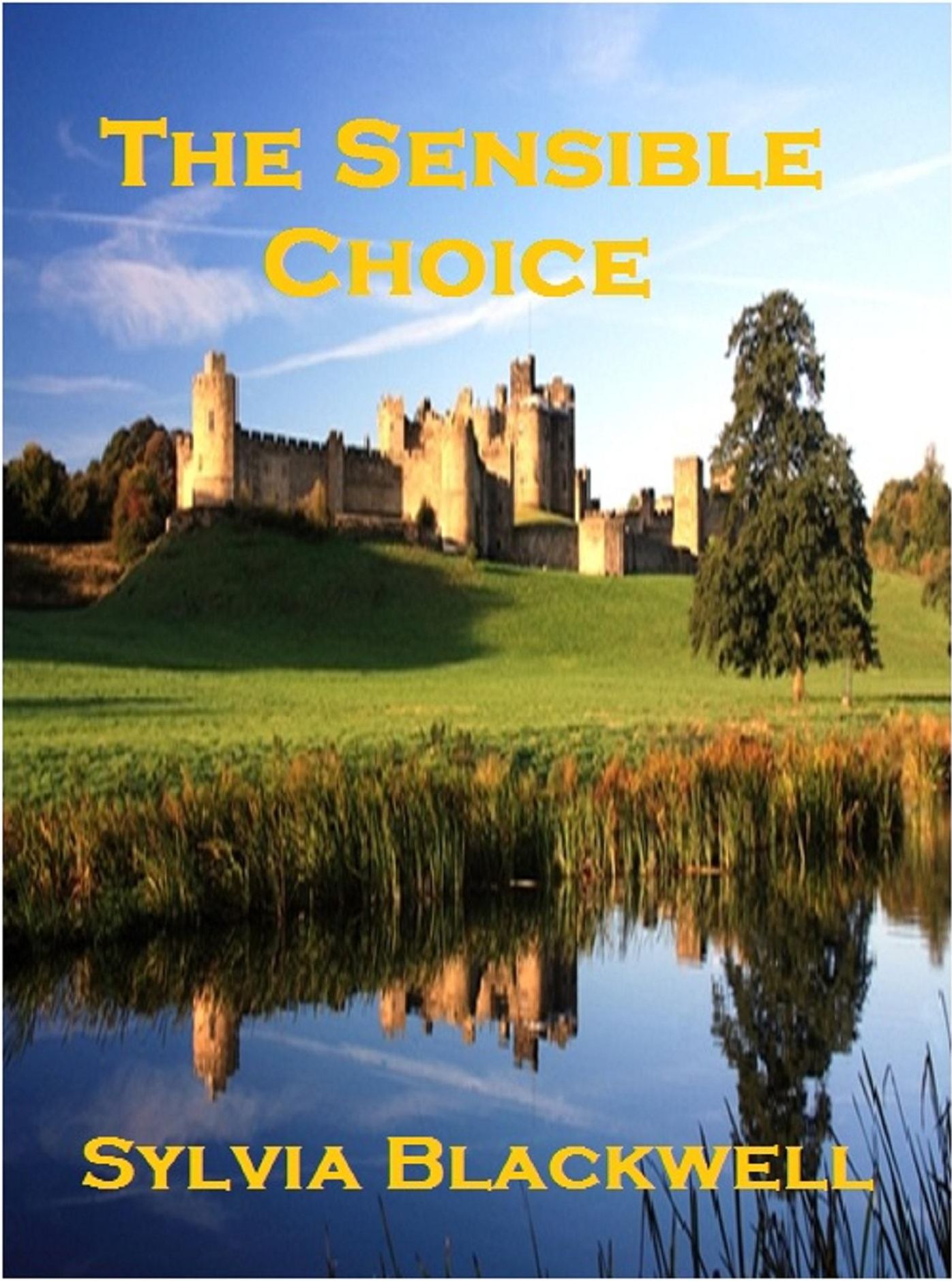 The Sensible Choice