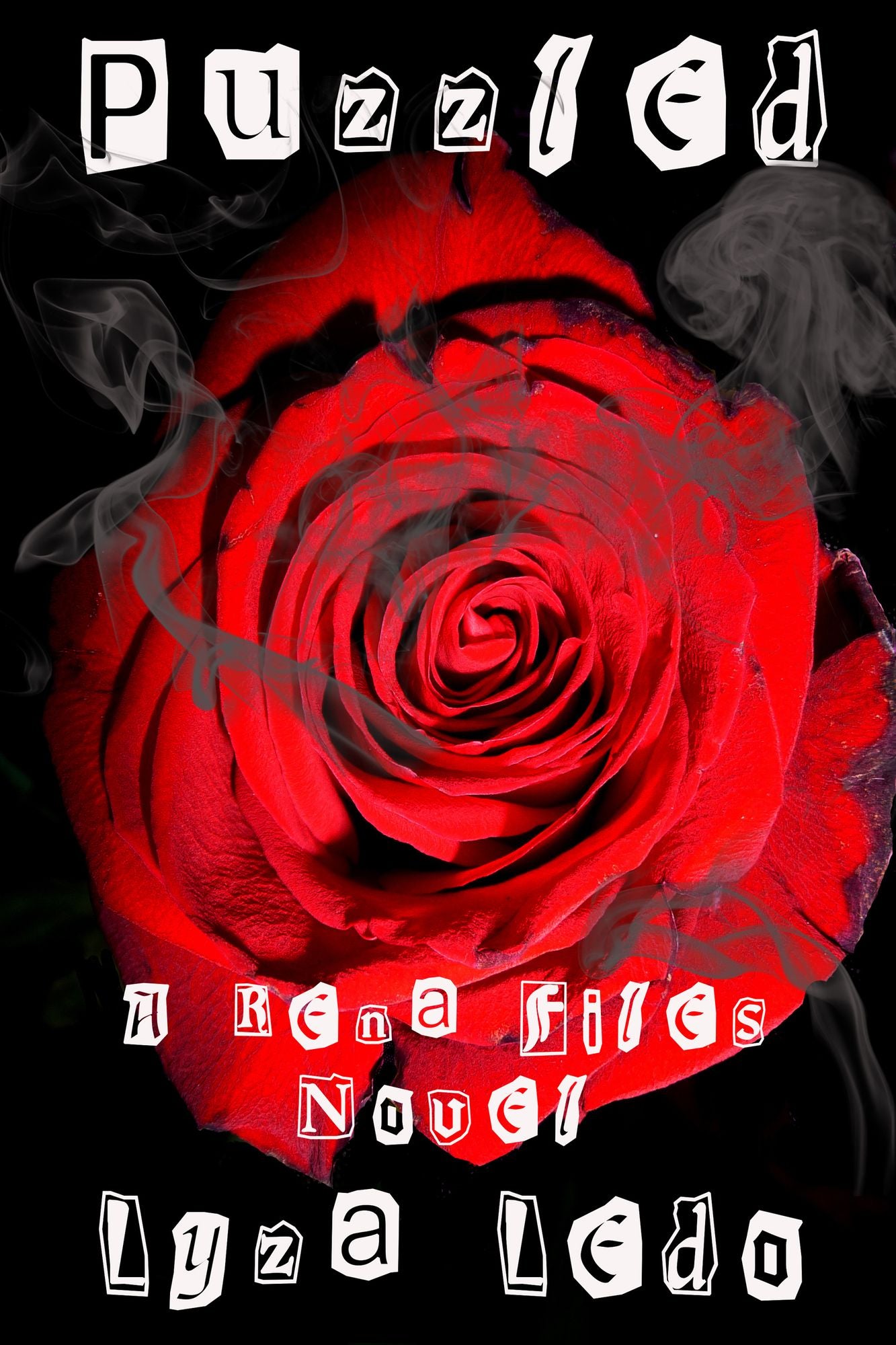 Puzzled (Book 2 in the Rena Files)