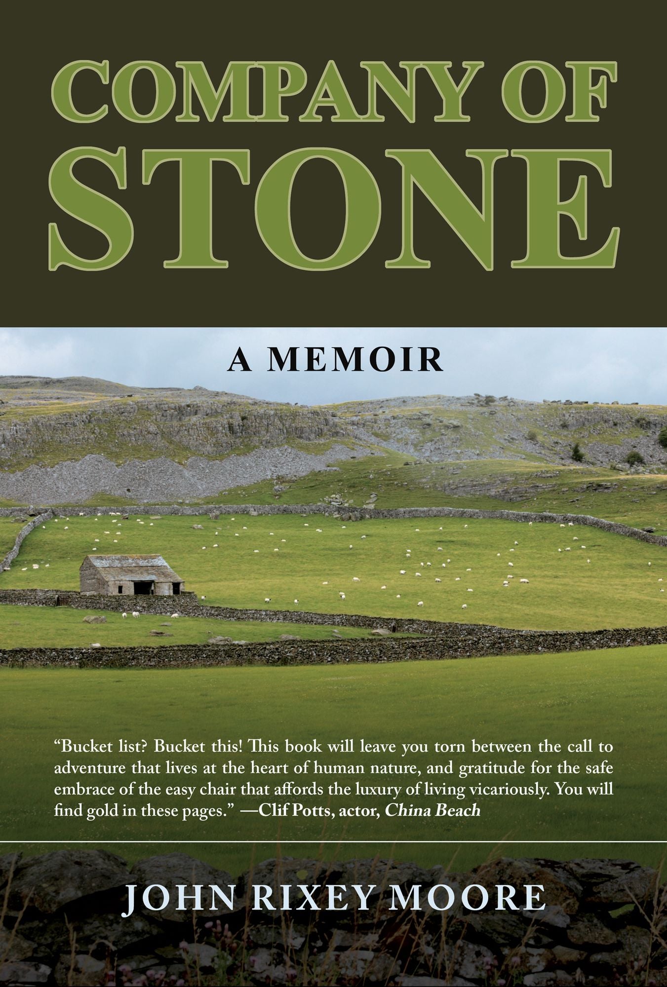 Company of Stone: A Memoir