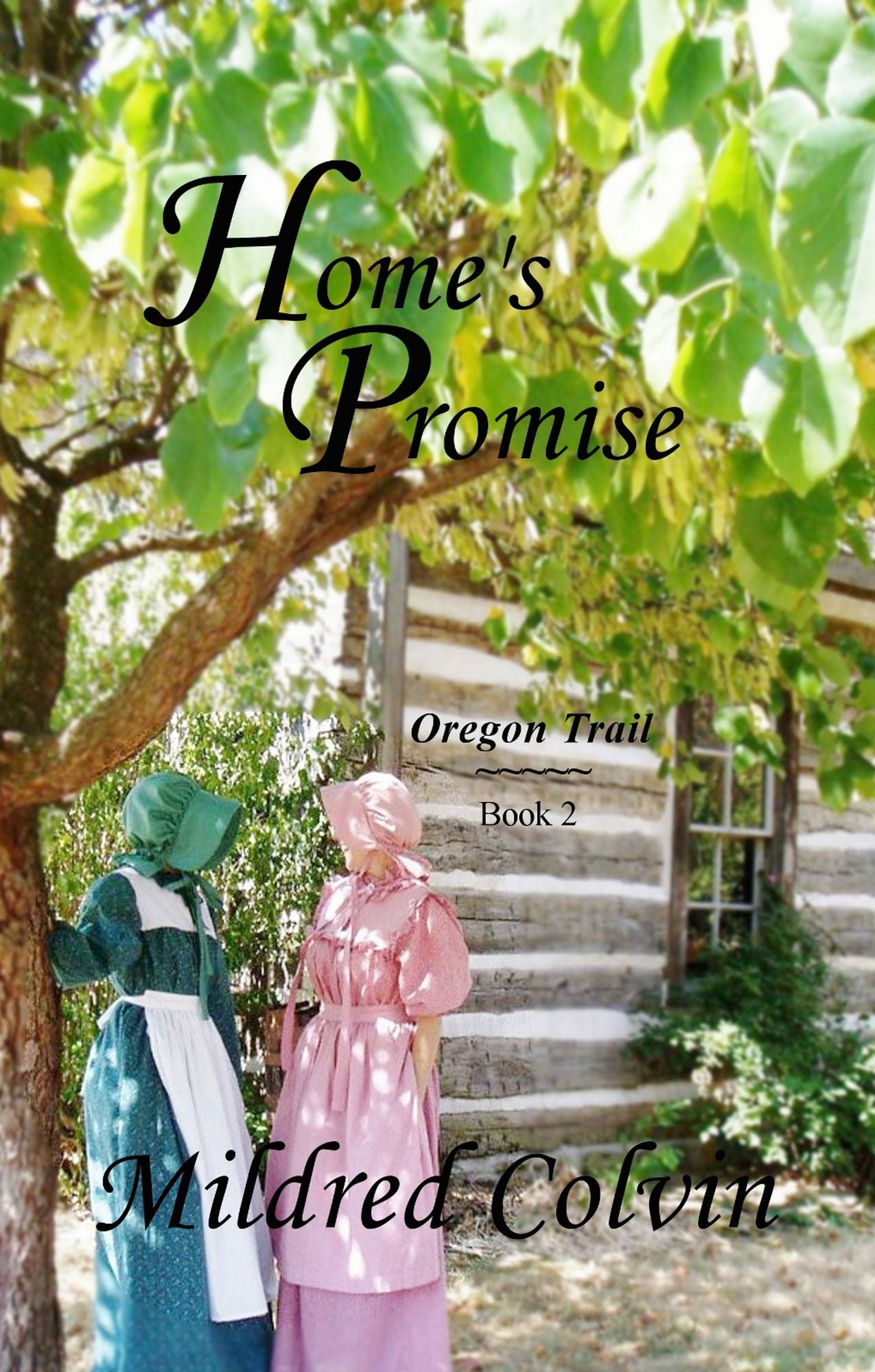 Home's Promise