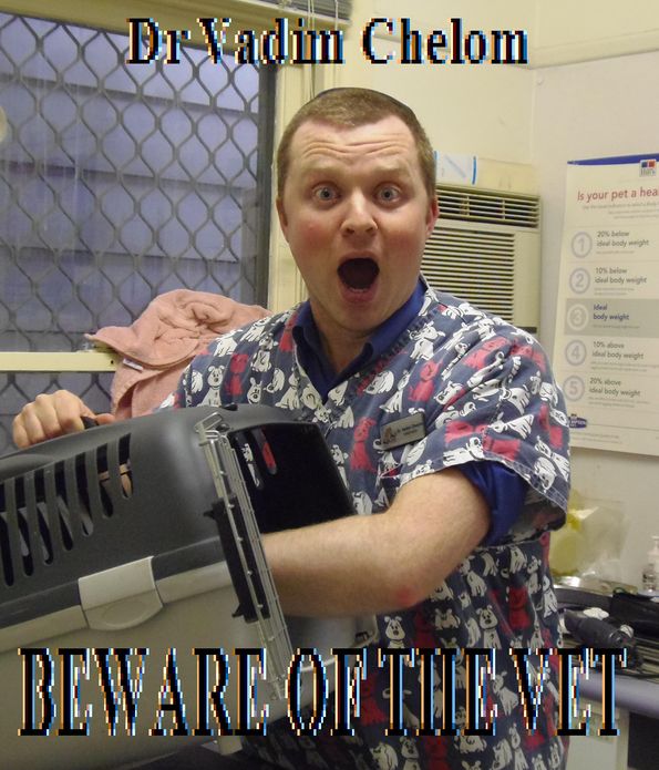 Beware Of The Vet