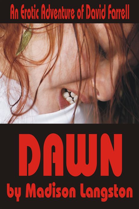 Dawn (An Erotic Adventure of David Farrell)