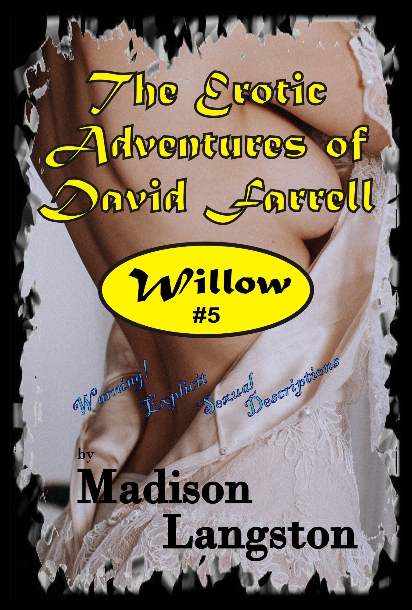 Willow (An Erotic Adventure of David Farrell)