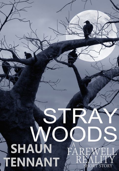 Stray Woods