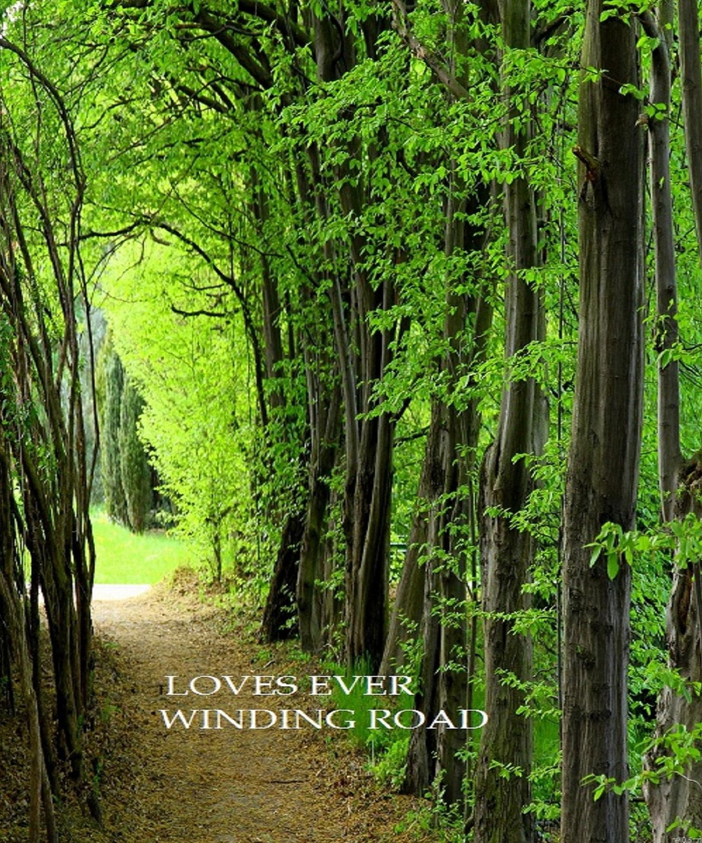 Loves Ever Winding Road