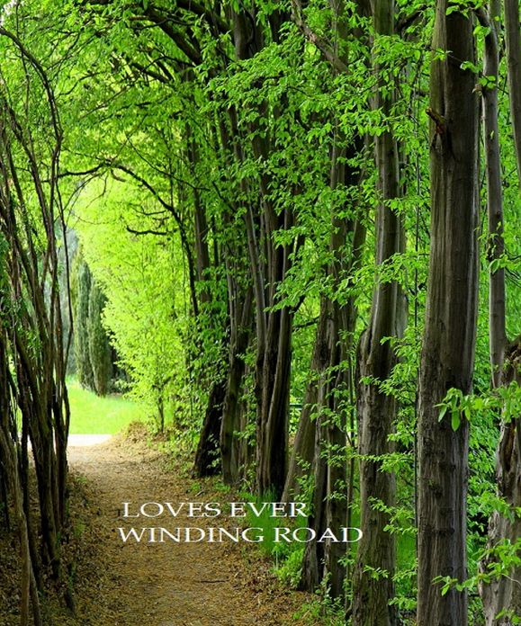 Loves Ever Winding Road