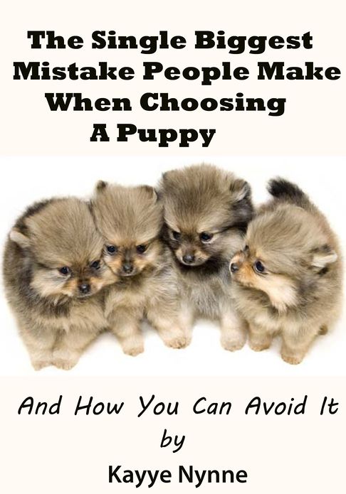 The Single Biggest Mistake People Make When Choosing A Puppy