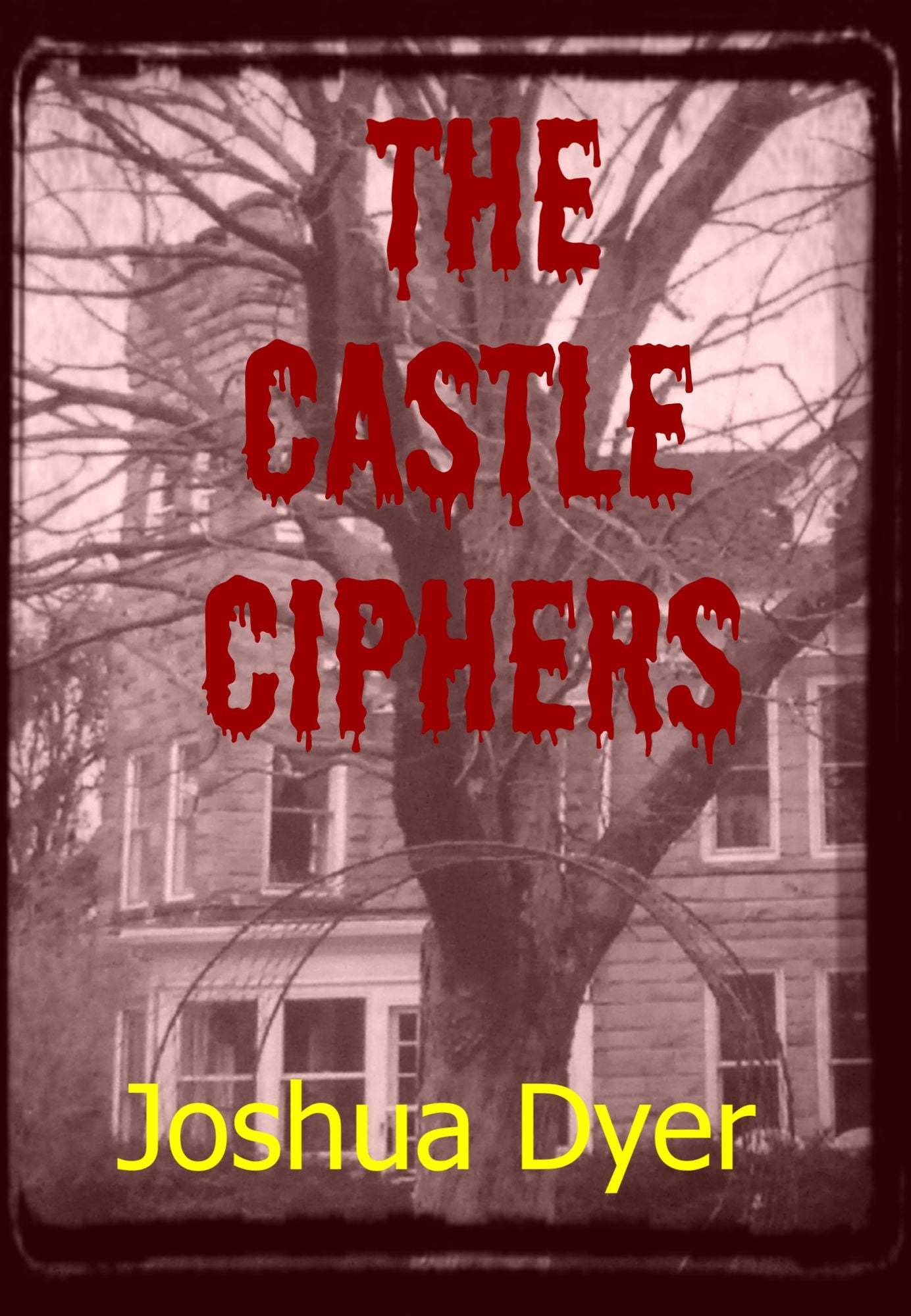 The Castle Ciphers