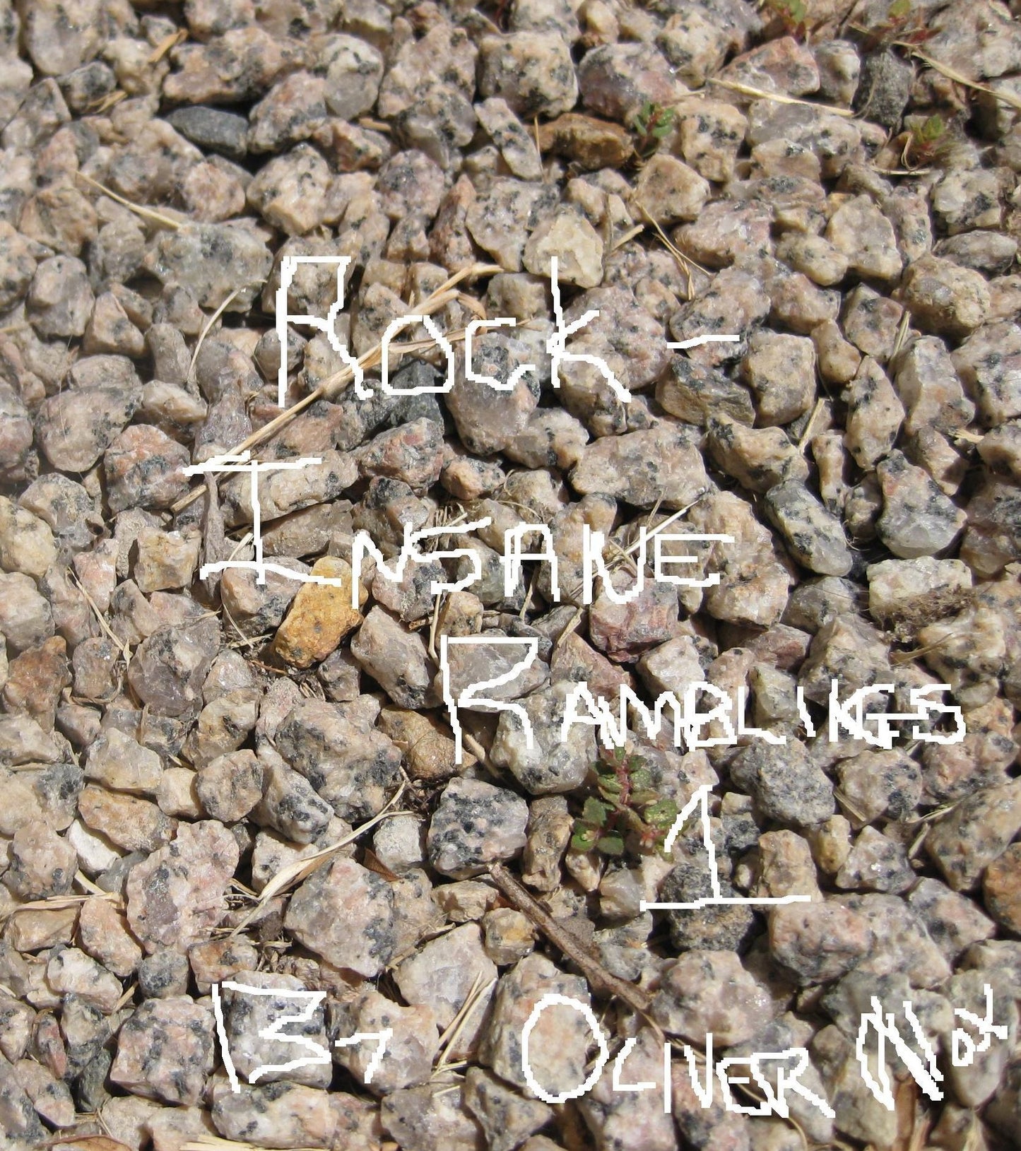 Insane Ramblings 1: Rock