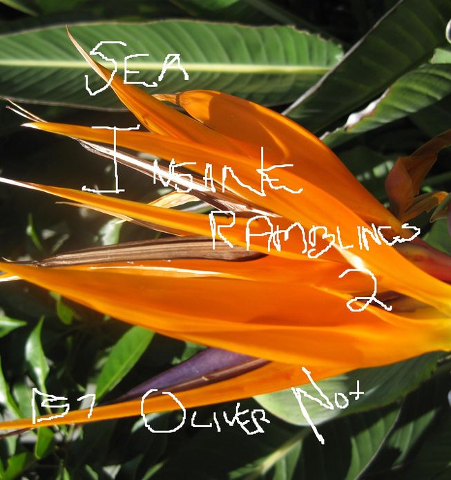 Insane Ramblings 2: Sea