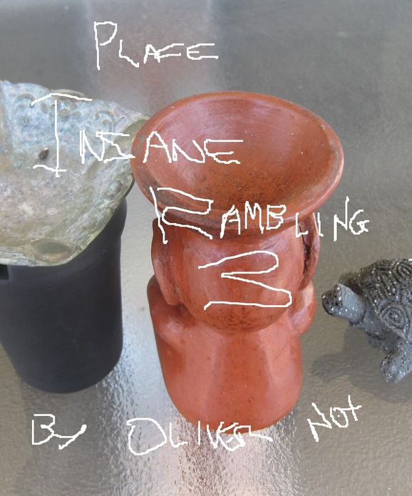 Insane Remblings 3: Place