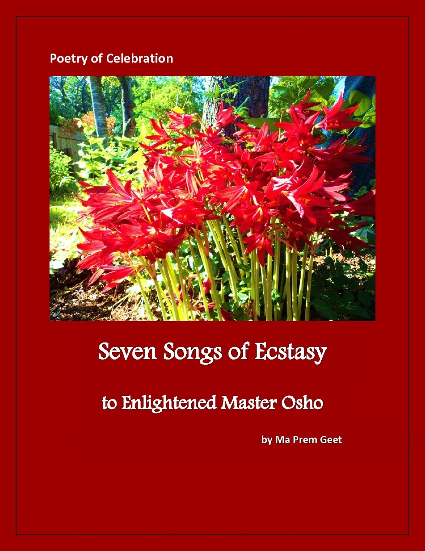 Seven Songs of Ecstasy to Enlightened Master Osho