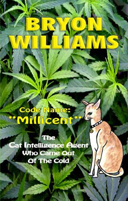 Code Name Millicent.