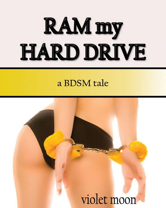 Ram my Hard Drive: A BDSM Tale