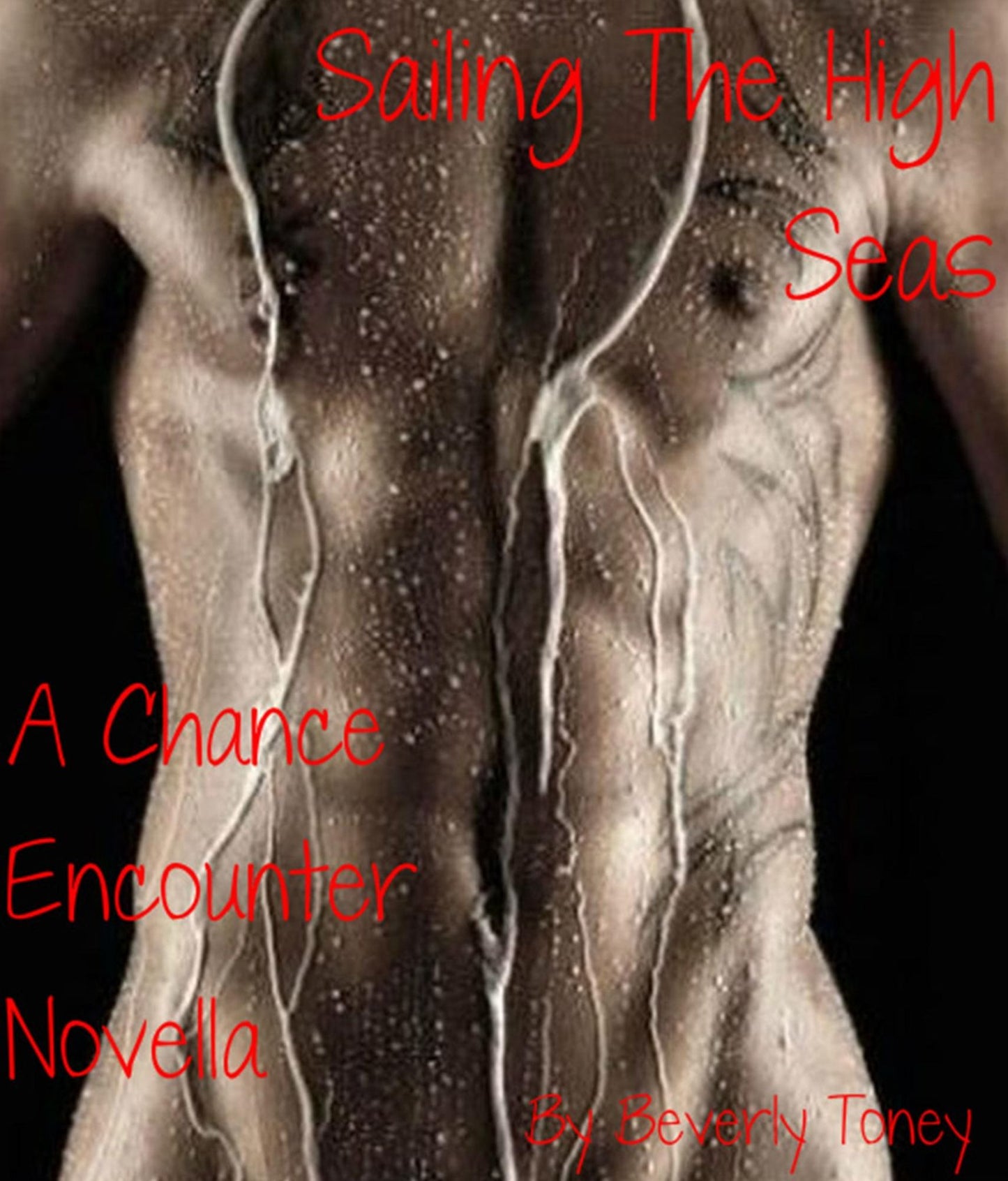 Sailing The High Seas (A Chance Encounter Novella)