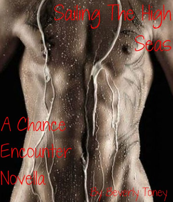 Sailing The High Seas (A Chance Encounter Novella)