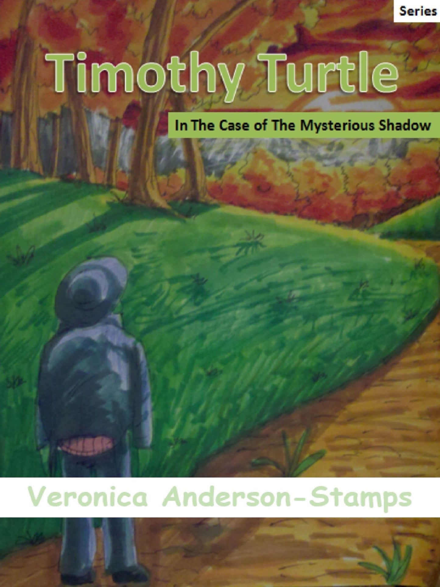 Timothy Turtle In The Case of the Mysterious Shadow