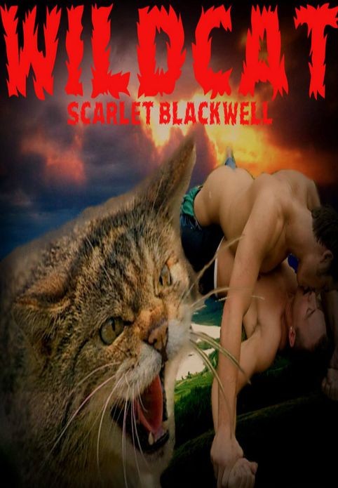 Wildcat